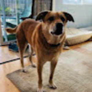 Meet your Posher, Hweijuan